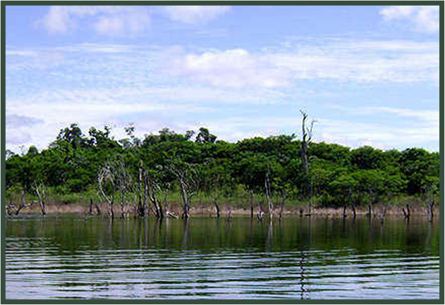 isla1